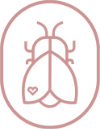 Junebug Doula Services Logo